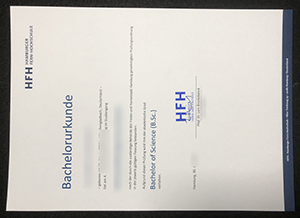 Authentic-Lookin of Hamburger Fern-Hochschule Urkunde 2026
