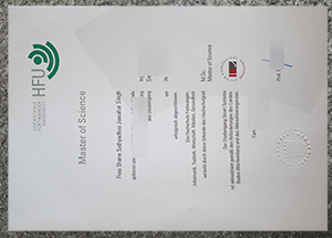 Hochschule Furtwangen University master Urkunde from Germany