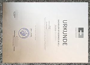 Hochschule Hamm-Lippstadt BSc Urkunde 2024