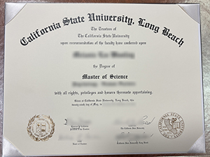 From Classroom to Workplace: How a CSULB Degree Paves the Way to Success