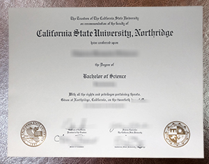 A Student-Centered Path to Success: CSUN Degree Support and Employment Competitiveness