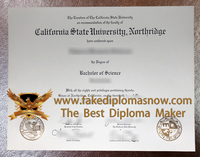 CSUN degree CSUN degree