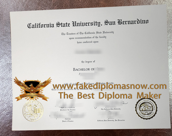 CSUSB degree