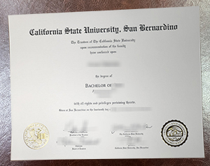 Honoring My Journey: Degree from California State University, San Bernardino