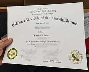 Graduate from California State Polytechnic University, Pomona