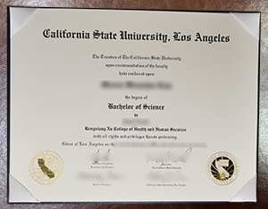 The Practical Foundation and Career Competitiveness of a Cal State, LA Degree