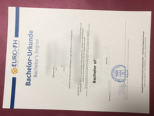 Euro-FH Bachelor Urkunde sample 2026