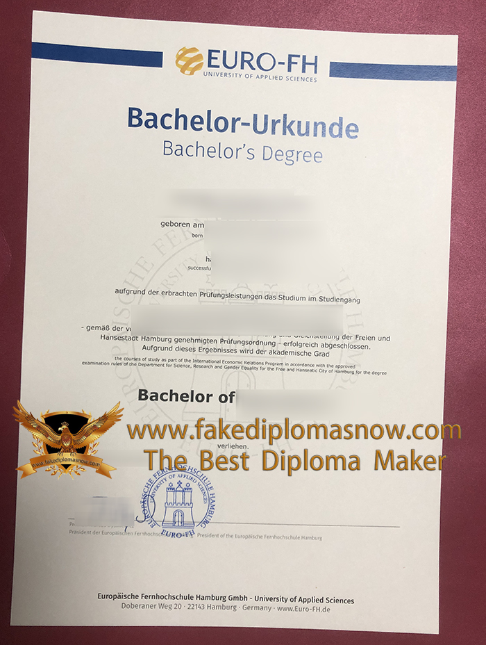Euro-FH Bachelor Urkunde