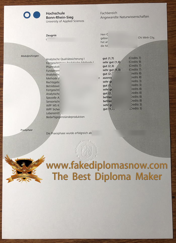 Hochschule Bonn-Rhein-Sieg Zeugnis 