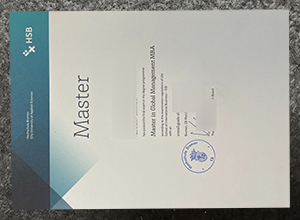 Procedure for Replacing Lost Substitute for Hochschule Bremen Urkunde