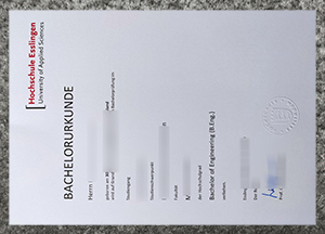 Quick Restoration Hochschule Esslingen Urkunde