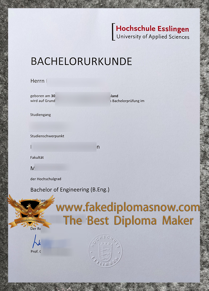 Hochschule Esslingen Urkunde