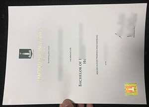 High-quality replacement for Macquarie University degree