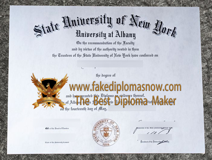 SUNY Albany diploma