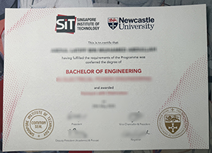 Singapore Institute of Technology and Newcastle University degree sample
