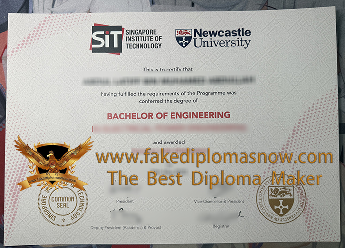 Singapore Institute of Technology and Newcastle University degree