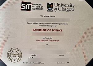 Singapore Institute of Technology and University of Glasgow degree sample