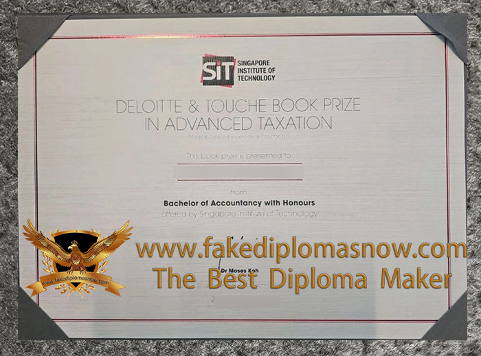 Singapore Institute of Technology degree