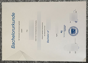 Technische Hochschule Ingolstadt Urkunde Lost? Hard to Replace?