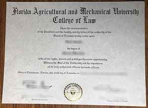 FAMU degree from Florida