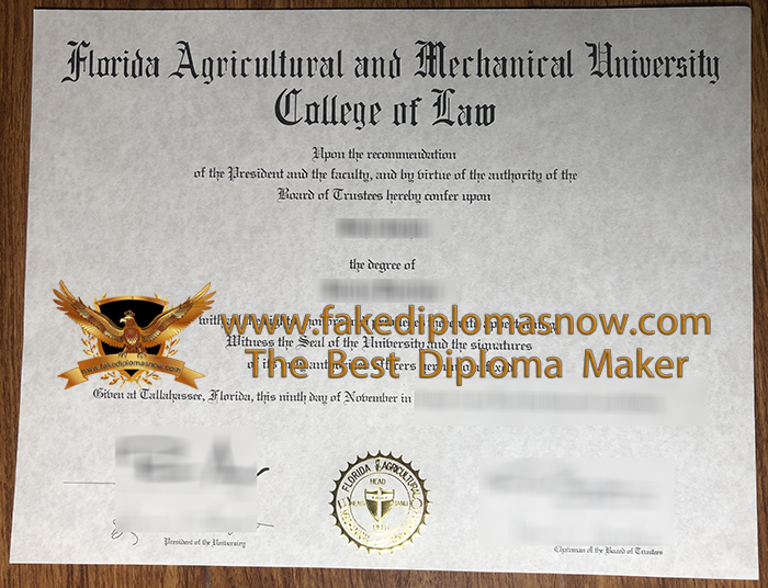 FAMU degree