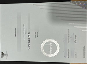 Obtain a Holmesglen Institute certificate in 2026