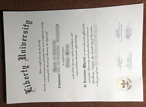 Liberty University degree sample