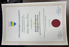 Open University of Mauritius degree sample 2026