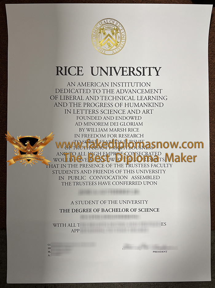 Rice University degree