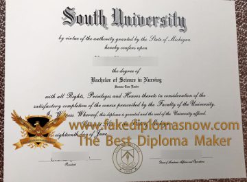 Unusual methods to Order a South University Diploma Online