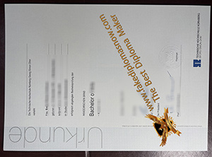 Technische Hochschule Nürnberg Georg Simon Ohm Urkunde from Germany