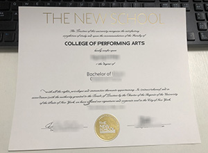 Custom a Copy of my The New School degree online