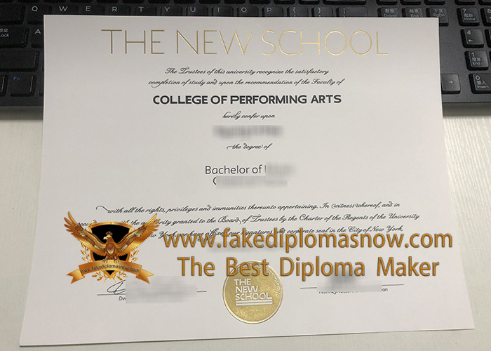 The New School degree