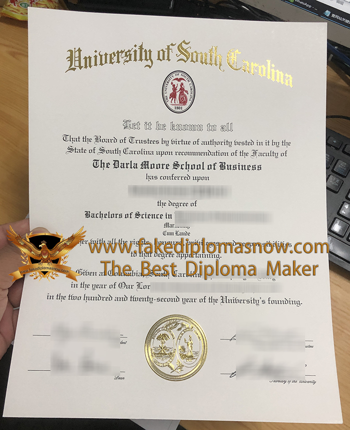 University of South Carolina degree University of South Carolina degree