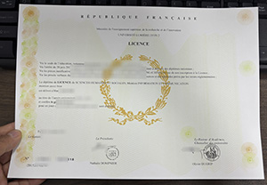 How long to get a Lumière University Lyon 2 certificate online?