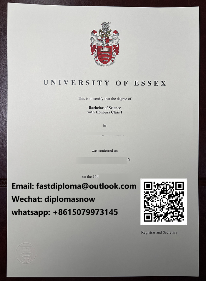 University of Essex degree