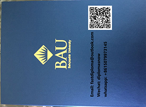 Bahçeşehir University diploma cover | BAU degree cover