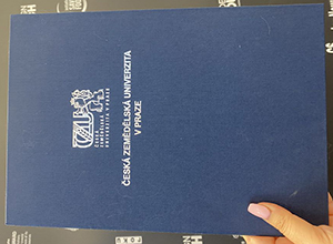 How to get a CZU diploma cover?