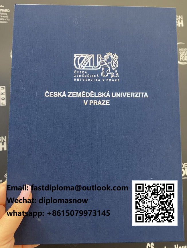CZU diploma cover CZU diploma cover