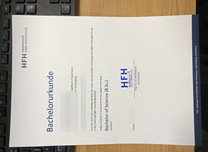 Incredible things that obtain Hamburger Fern-Hochschule Urkunde