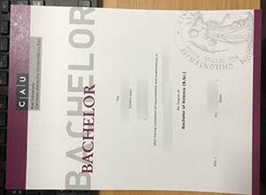 The fastest way to own Kiel University diploma