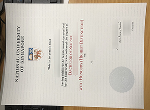 Easy methods to get a National University of Singapore (NUS) diploma