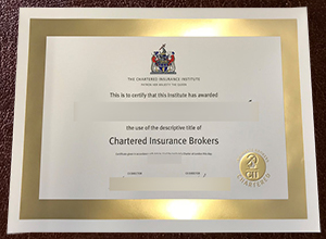 Selling top-quality replica a Chartered Insurance Institute certificate online