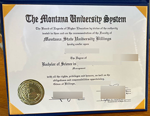 Simple ways to obtain Montana State University Billings diploma