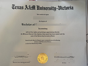 Best option to get Texas A&M University–Victoria diploma