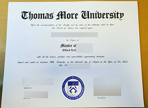 Principles for making a Thomas More University diploma