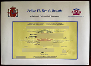 Insider secrets to achieving Universidade da Corunha diploma